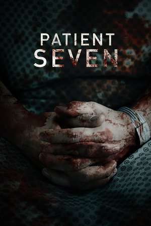 Poster Patient Seven (2016)