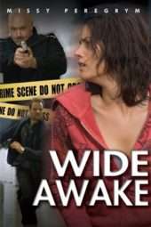 Nonton Film Wide Awake (2007) Sub Indo