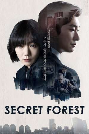 Secret Forest (2017)