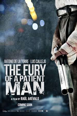 The Fury of a Patient Man (2016)