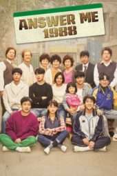 Nonton Film Reply 1988 (2015) Sub Indo