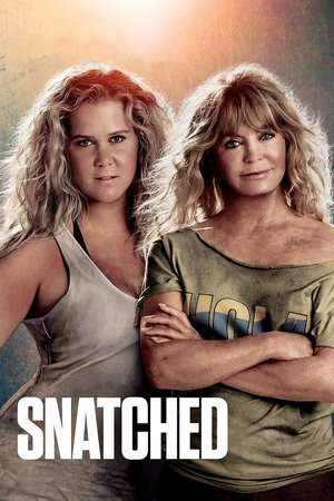 Snatched (2017) jf