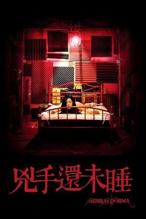 Nessun Dorma 2016 Poster