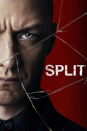 Split 2016 Poster