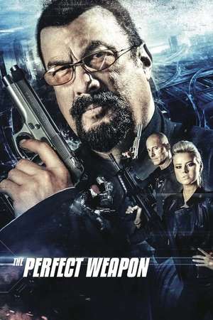 The Perfect Weapon 2016 Poster