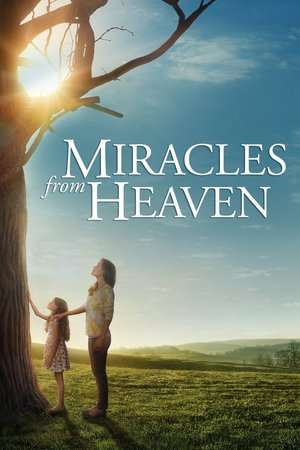 Miracles from Heaven (2016) jf