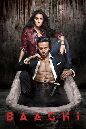 Poster Baaghi (2016)