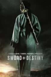 Nonton Film Crouching Tiger, Hidden Dragon: Sword of Destiny (2016) Sub Indo