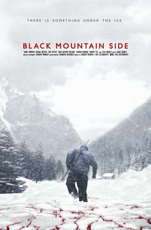 Poster Black Mountain Side (2016) jf