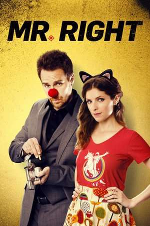 Poster Mr. Right (2016)