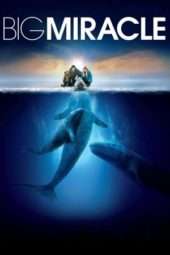 Nonton Film Big Miracle (2012) Sub Indo