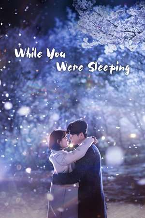 While You Were Sleeping (2017) Poster