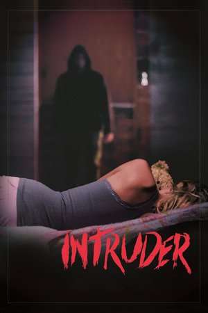 Poster Intruder (2016)