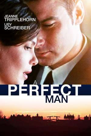 Poster A Perfect Man (2013)