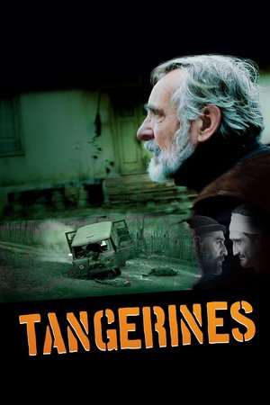 Poster Tangerines (2013)