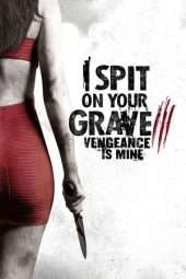 Nonton Film I Spit on Your Grave III: Vengeance is Mine (2015) Sub Indo