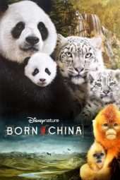 Nonton Film Born in China (2017) Sub Indo