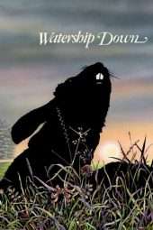 Nonton Film Watership Down (1978) Sub Indo