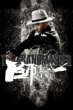 Poster The Grandmaster (2013) jf