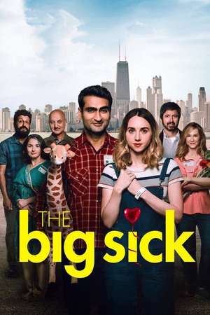 Poster The Big Sick (2017) jf