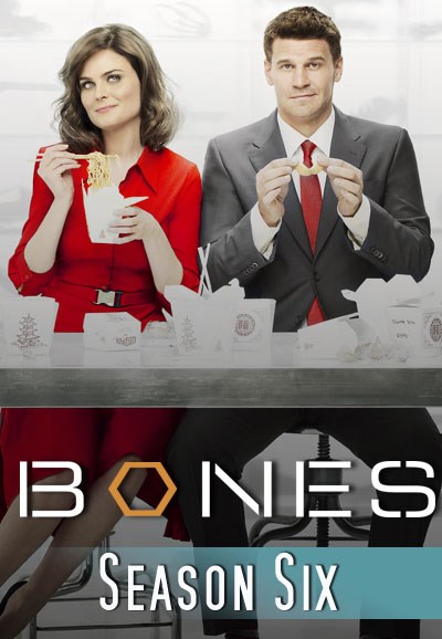 Bones Season 06 (2010)
