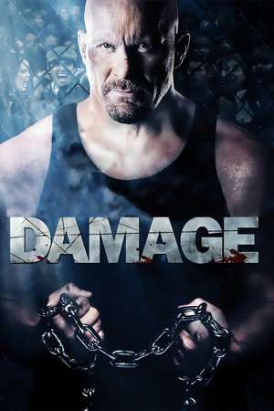 Damage 2009 Poster