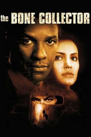 Poster The Bone Collector (1999) jf