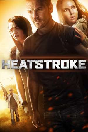 Heatstroke 2013 Poster