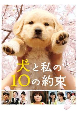 Poster 10 Promises to My Dog (2008)