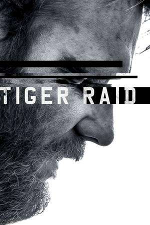 Poster Tiger Raid (2016)