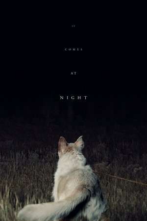 It Comes at Night 2017 Poster