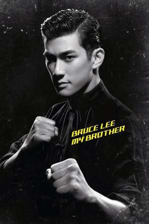 Poster Bruce Lee, My Brother (2010)