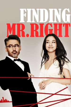 Nonton Finding Mr. Right (2013) Sub Indo jf