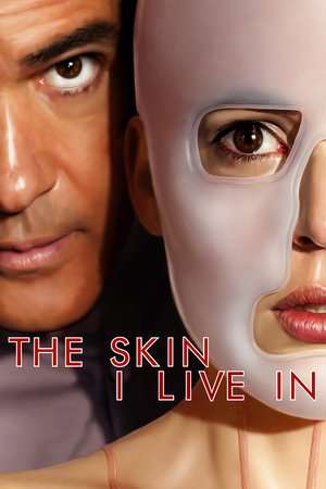 Poster The Skin I Live In (2011)