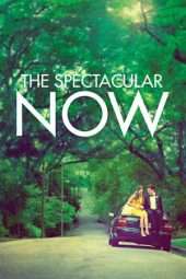 Nonton Film The Spectacular Now (2013) Sub Indo