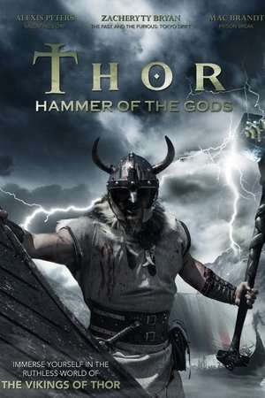 Poster Hammer of the Gods (2009)