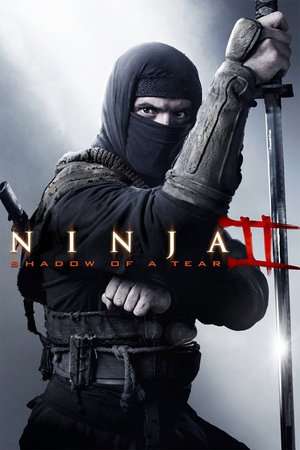 Ninja Shadow of a Tear 2013 Poster