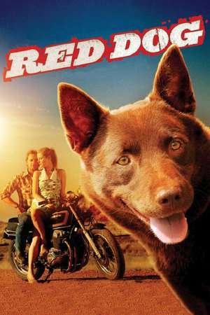 Poster Red Dog (2011)