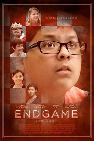 Poster Endgame (2015)