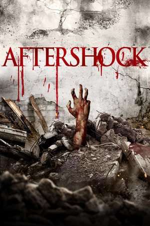 Aftershock 2012 Poster