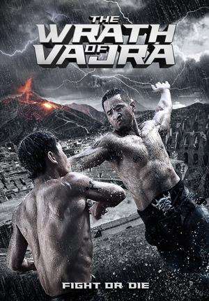 Poster The Wrath Of Vajra (2013)