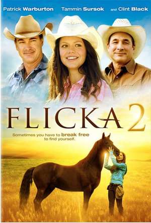 Flicka 2 2010 Poster
