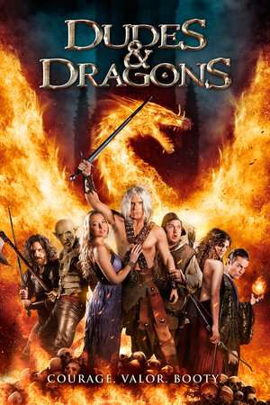 Poster Dudes & Dragons (2015)