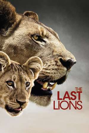 The Last Lions 2011 Poster