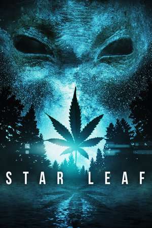 Star Leaf 2015 Poster