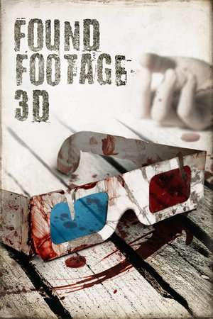 Poster Found Footage 3D (2016)