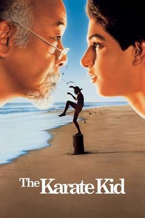Nonton The Karate Kid (1984) Sub Indo jf