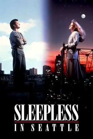 Sleepless in Seattle (1993) man