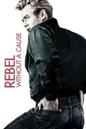 Nonton Film Rebel Without a Cause (1955) Sub Indo