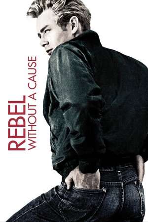 Poster Rebel Without a Cause (1955)